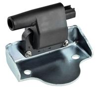 NTY Bobina Accensione Modulo Adatto A per Land Rover Freelander LN 1.8i 16V 4x4