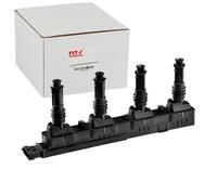 NTY Bobina d'accensione compatibile con OPEL CHEVROLET DAEWOO GENERAL MOTORS