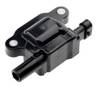NTY Bobina D'Accensione Modulo per Chevrolet Corvette C7 6.2 C6 Camaro Cadillac