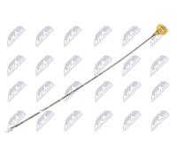NTY Astina olio motore BOL-CH-006