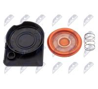 NTY BPZ-BM-013A Copritestata per BMW