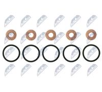 NTY BWP-LR-000 Kit guarnizioni, Iniettore per LAND ROVER