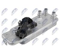 NTY Radiatore olio motore CCL-BM-041 Adatto per BMW F10/F11 (3.0 10-17), F12/F13 (3.0 11-17)