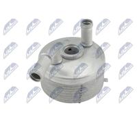 NTY Radiatore olio, Cambio automatico compatibile con MINI CCL-BM-043