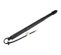 NTY Cerniera/Supporto Cofano Sinistro Lexus RX 350h E-Four 450h+ 500h DIRECT4