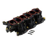 NTY Collettore di Aspirazione Modulo per Hyundai Santa Fé II CM 3.5 4x4
