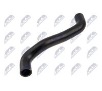 NTY CPP-RE-029 Flessibile radiatore per RENAULT