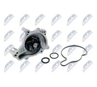 NTY Pompa acqua CPW-AU-046 - Adatta per AUDI Q7/A5/A6/A8 4.2 (079121012D)