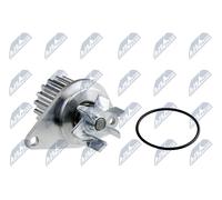 NTY CPW-CT-031 Pompa acqua