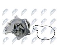 NTY CPW-IS-006 Pompa acqua