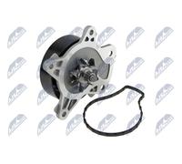 NTY CPW-TY-095 Pompa acqua