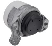 NTY Cuscinetti Del Motore Cuscinetto Destra per Mercedes-Benz Modello T S213