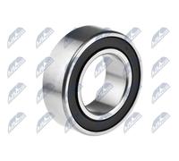 NTY Cuscinetto Albero primario NLP-NS-001 per NISSAN JUKE (F15) X-TRAIL (T32)