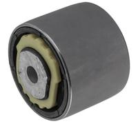 NTY Cuscinetto Stabilizzatore Gomma Frontale per JAGUAR S-TYPE X200 3.0 V6