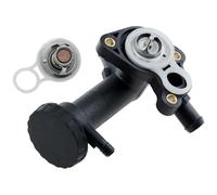 NTY Custodia Del Termostato Per MINI Mini R50 R53 Cooper One R52