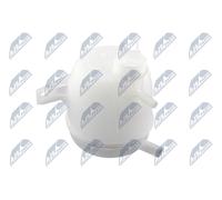 Supporto Serbatoio Per Renault Clio II 98 Kangoo 97 Spolverino 10 Logan 04