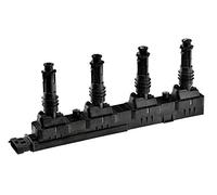 NTY Bobina d'accensione compatibile con OPEL CHEVROLET DAEWOO GENERAL MOTORS