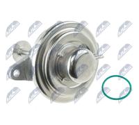 Valvola aria secondaria pneumatico EGR-PL-002 NTY per OPEL VECTRA B SINTRA