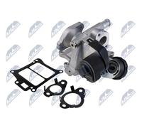 NTY EGR-VV-010 Valvola EGR