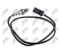 NTY ESL-BM-021 Sonda lambda