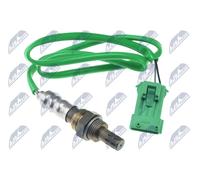 NTY ESL-CT-003 Sonda lambda Sonda di regolazione, Filettatura prelubrificata