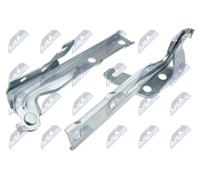 NTY Cerniera Cofano motore EZC-VW-247 per TIGUAN (5N_)