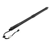 NTY Gas Portellone Posteriore Sinistra Elettrico per Hyundai Grand Santa Fé