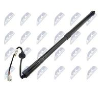 NTY Molla a gas AE-HD-024 posteriore Sx per Honda CR-V V