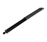 NTY Gasfeder Dämpfer Heckklappe Hinten Sinistra Per BMW 7er E65 E66 E67 730 Ld