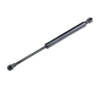 NTY Gasfeder Del Bagagliaio Adatta Per Fiat 500 C 1.2 0.9 500C/595C/695C