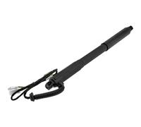 NTY Gasfeder Del Bagagliaio Posteriore Destro Adatta Per BMW X5 3.0d xDrive30d