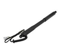 NTY Gasfeder Del Posteriore Destro Compatibile Per BMW X5 E70 3.0d xDrive30d