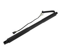 NTY Gasfeder Del Posteriore Sinistro Compatibile Per BMW 3er Touring F31 320d