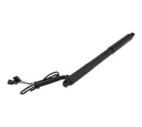 NTY Gasfeder Del Posteriore Sinistro Compatibile Per BMW X5 3.0d xDrive30d