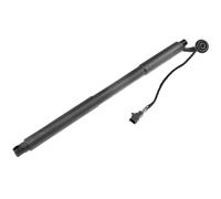 NTY Gasfeder Del Posteriore Sinistro Elettrico Per Volvo XC60 D4 D5 AWD