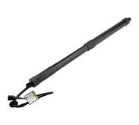 NTY Gasfeder Del Posteriore Sinistro Per Hyundai Santa Fé III 2.2 CRDi 4WD