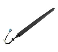 NTY Gasfeder Heckklappe Beidseitamente Elettrico Per BMW X2 F39 SDrive18I