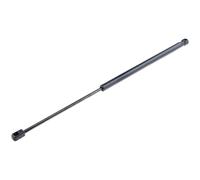 NTY Gasfeder Heckklappe Beidseitica Per Ford C-Max II 1.0 EcoBoost 1.5 Focus BMW