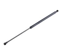 NTY Gasfeder Heckklappe Per Fiat Panda 169 1.1 1.2 169_ 1.3 D Multijet 4X4