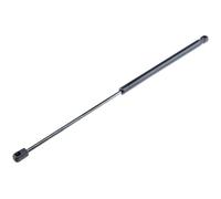NTY Gasfeder Heckklappe Per Ford Fiesta IV 1.25I 16V 1.3I Mazda 121 III