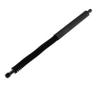 NTY Gasfeder Heckklappe Posteriore Sinistra Per BMW X1 xDrive20d sDrive18d X3