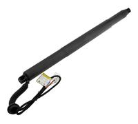 NTY Gasfeder Heckklappe Posteriore Sinistra Per BMW X6 XDRIVE30D XDRIVE40D