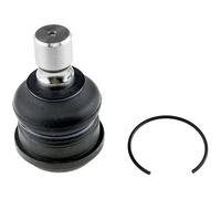 NTY Giunto di Supporto Guida Anteriore Inferiore per Ford Fiesta VI De _ Dh _ 3