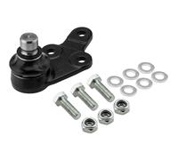 NTY Giunto di Supporto Guida Anteriore Sinistra Inferiore per Ford Kuga II DM2