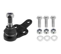 NTY Giunto di Supporto Guida Frontale Esterno per Ford Focus II Da _ Hcp Dp 1.6