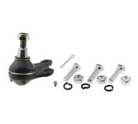 NTY Giunto Sospensione Inferiore Anteriore Sinistro Per Renault Laguna III