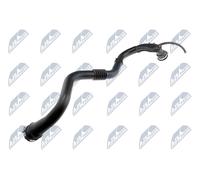 Tubo condotto aria Gomma con anima di tessuto GPP-RE-006 NTY per RENAULT CLIO II