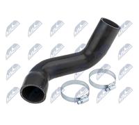 Tubo condotto aria Silicone GPP-RE-031 NTY per RENAULT MEGANE II SCÉNIC II