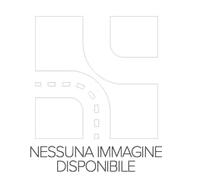 NTY EWS-FR-046 Interruttore, Alzacristallo