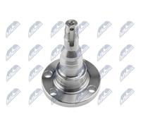 Mozzo ruota Assale posteriore KLT-VW-000P3 NTY per AUDI VW SEAT